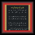 Punjab ke Dahat mian Urdu 01 * 22.03.2008 * 345 x 541 * (38KB)